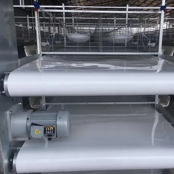 Автоматическая система удаления помета для уток-несушек3