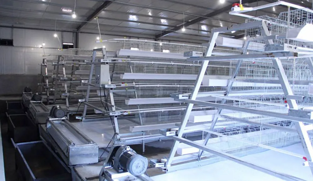 A тип оборудование для кур несушек1