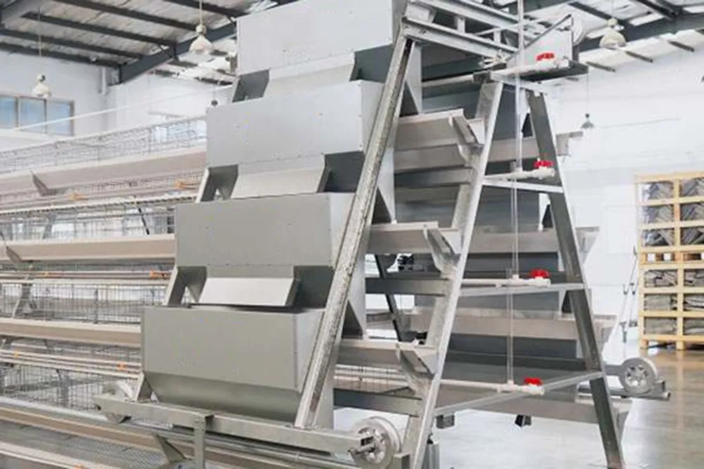 A тип оборудование для кур несушек2