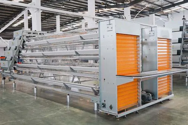 A тип оборудование для кур несушек3