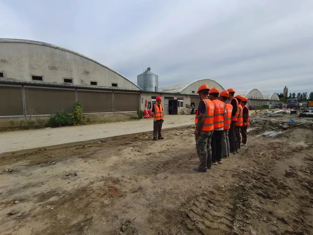 A тип оборудование для кур несушек4