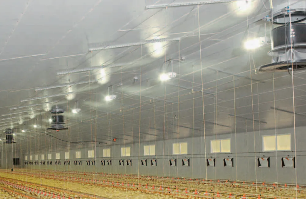 Автоматизированные воздухозаборные окна для несушек1