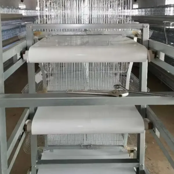 Автоматическая система удаления помета для уток-несушек2