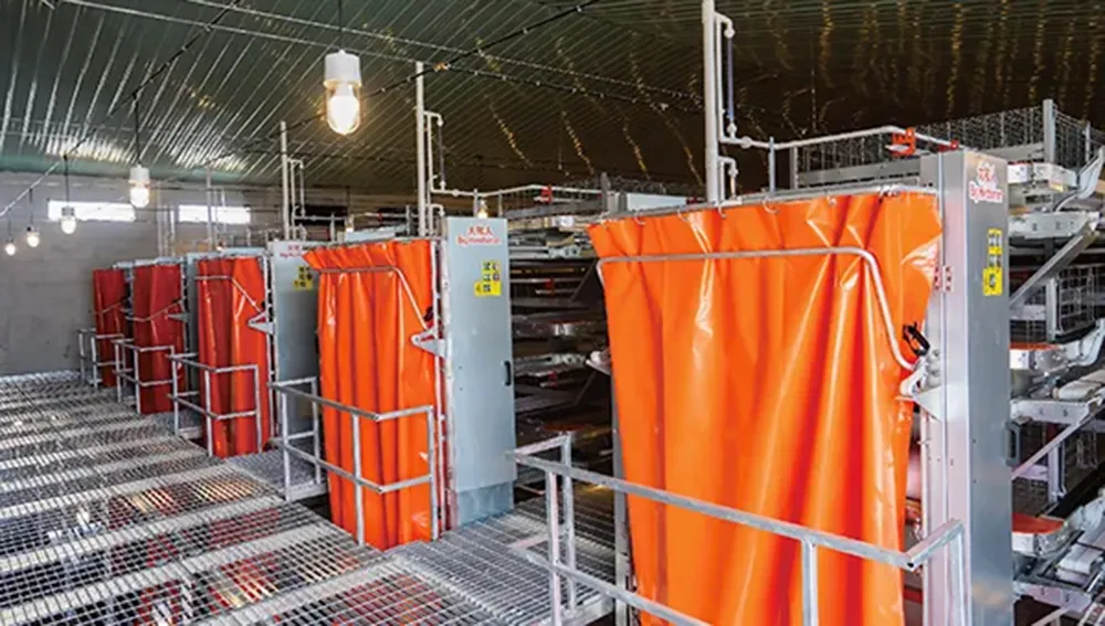 Ручная система удаления помета бройлеров1