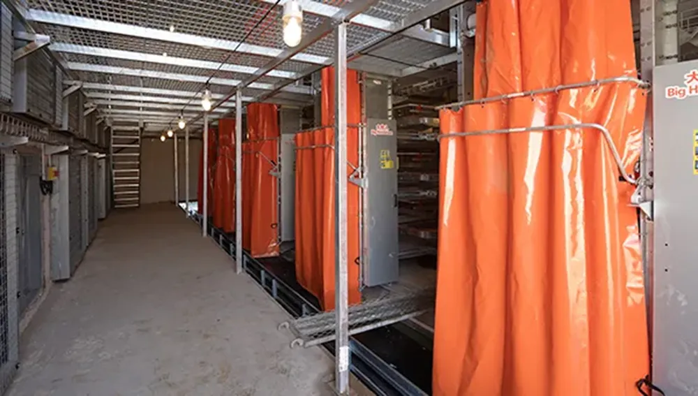 Ручная система удаления помета бройлеров2