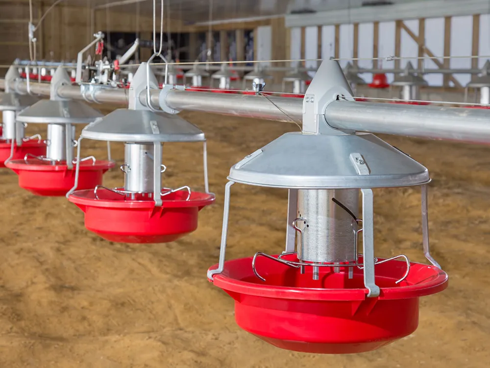 Сcrew - доставочная система кормления для бройлеров1