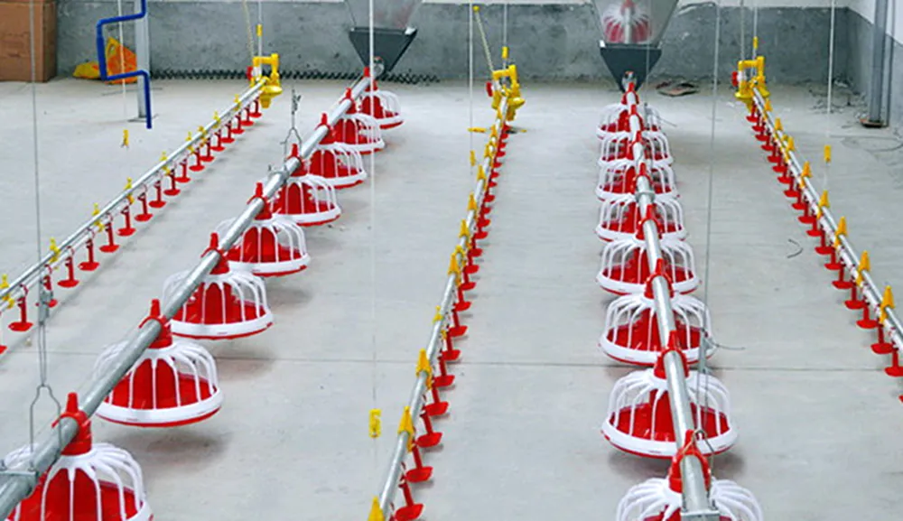 Сcrew - доставочная система кормления для бройлеров3