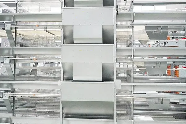 Система клеток для несушек типа «H» для крупных птичников2