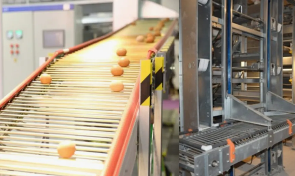 Система сбора яиц с функцией очистки2