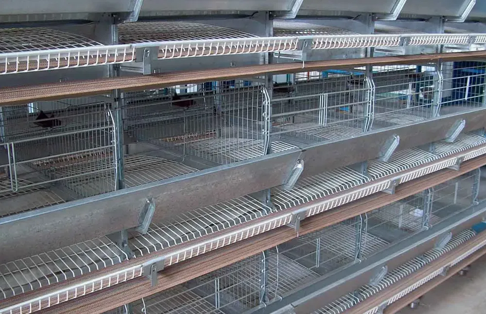 Система яично-утиных ярусных клеток1