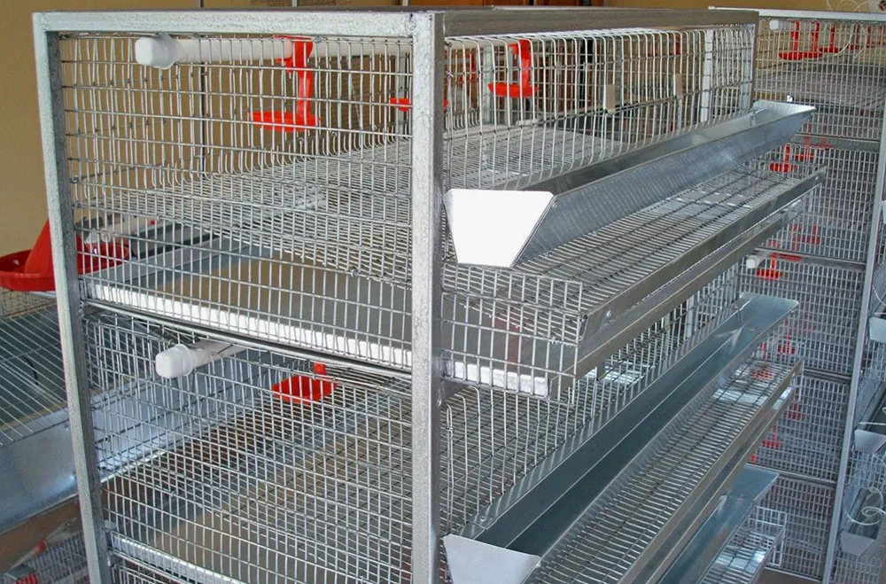 Система яично-утиных ярусных клеток2