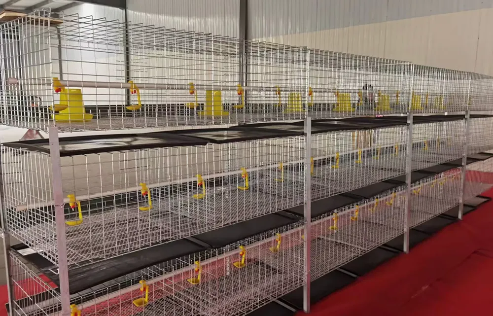 Система яично-утиных ярусных клеток3