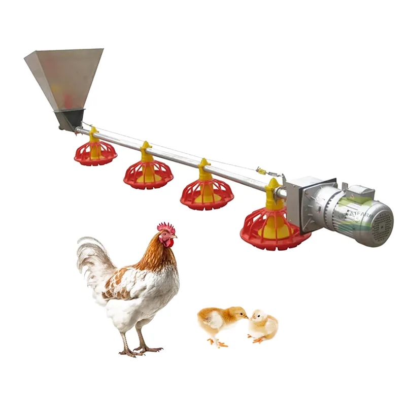 Шнековая система кормления несушек1