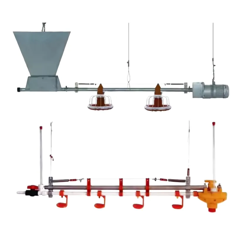 Шнековая система кормления несушек3