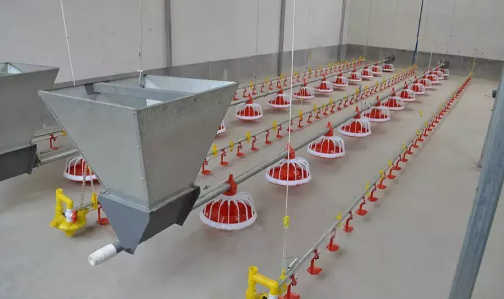 Шнековая система кормления птицы с регулируемым расходом1