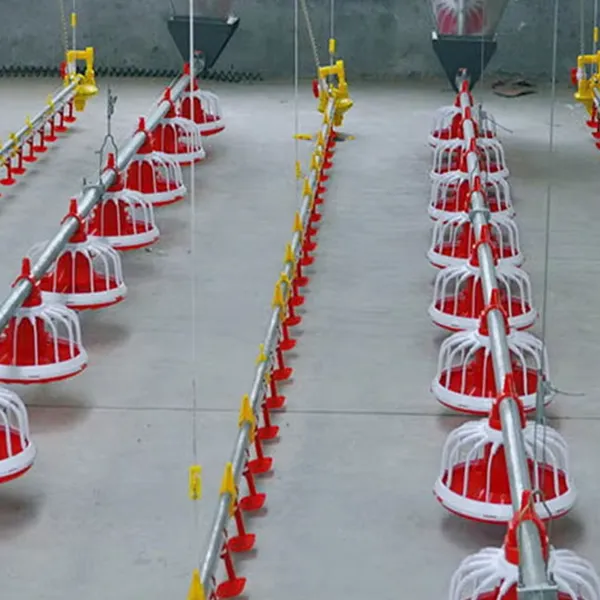 Шнековая система кормления птицы с регулируемым расходом2