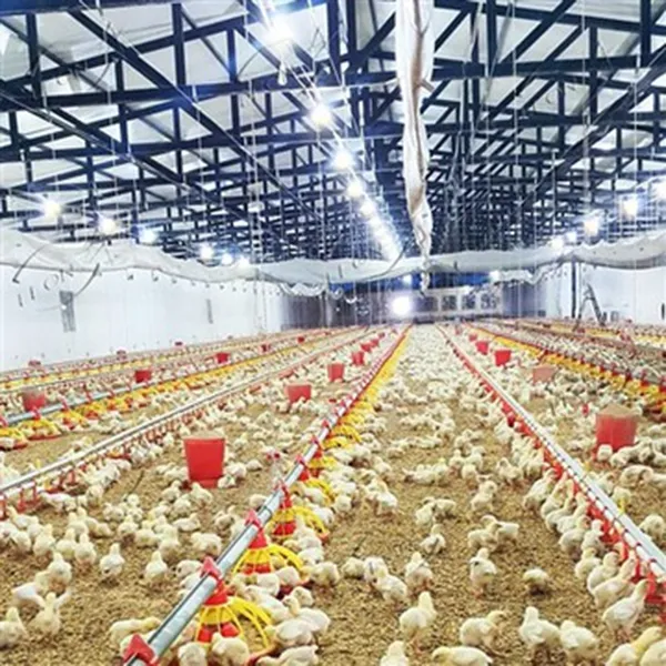 подстилка для бройлеров напольное содержание1